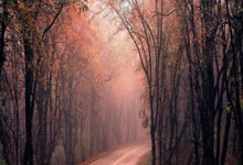 8记三分球！雷霆主帅：以赛亚-乔的表现令人难以置信.