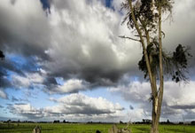 中乙联赛：攻势如潮难进球 山东泰山B队遭遇两连平.