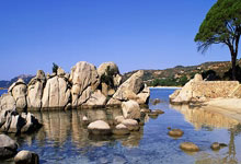 欧博官网：欧冠-萨卡传射哈弗茨破门 阿森纳5-1葡萄牙体育.